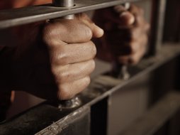 fot. Envato Elements