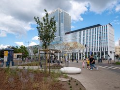 Przy Stajni Jednorożców w Łodzi robi się zielono! Widać już efekty odbetonowania