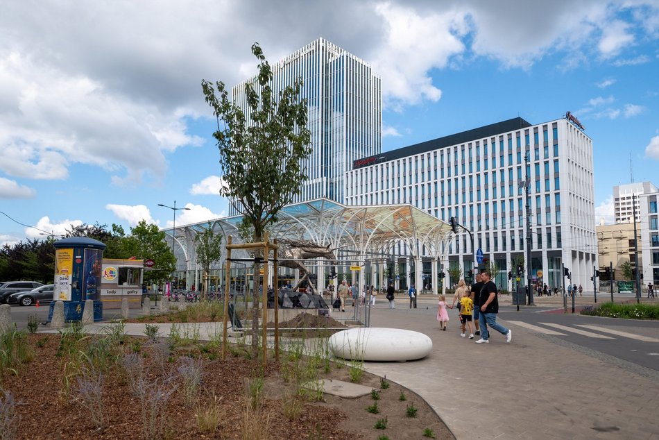 Przy Stajni Jednorożców w Łodzi robi się zielono! Widać już efekty odbetonowania