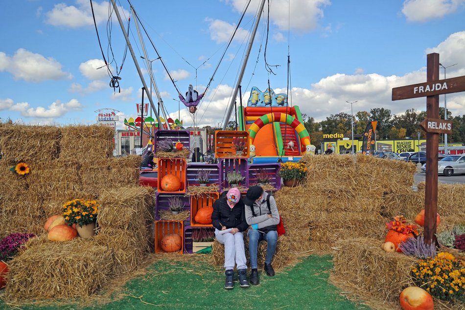 Farma Dyniowa w Pasażu Łódzkim