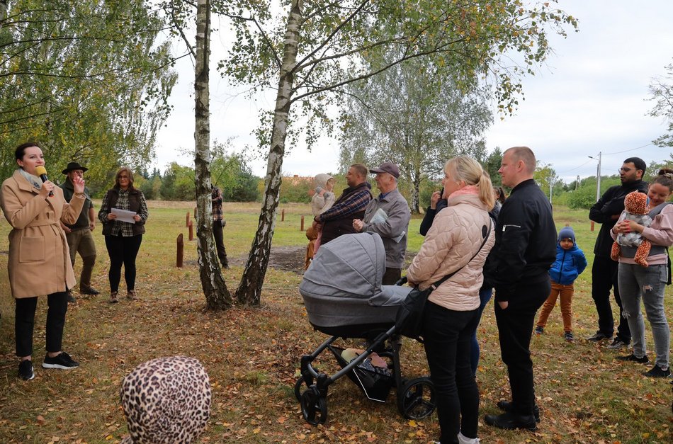 Rozrasta się Las Młodej Łodzi. Sadzenie drzew