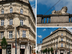 Łódź. Zwierzęta na zabytkach w Łodzi. Gdzie znaleźć lwa, wiewiórkę, orła, nietoperza i inne?