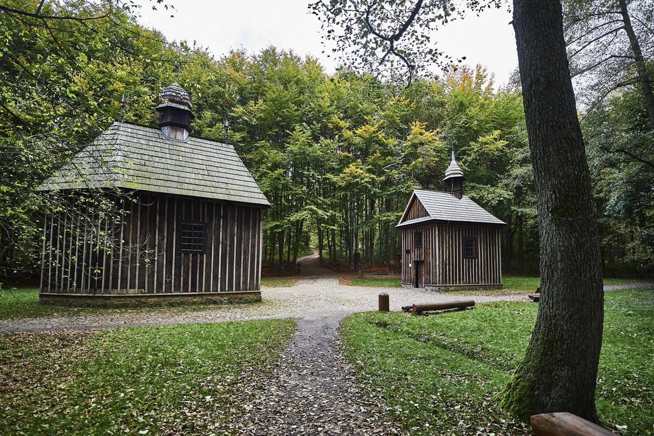 Łódź. Las Łagiewnicki