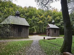 Łódź. Las Łagiewnicki