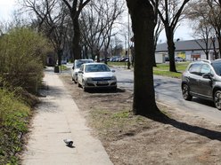 Łódź. Startuje remont Łęczyckiej w Łodzi. Dwa etapy prac, aby zredukować utrudnienia