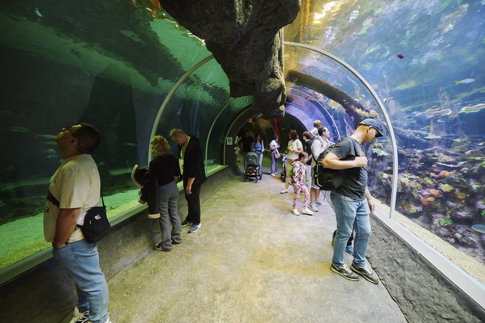 Łódź. Orientarium Zoo Łódź