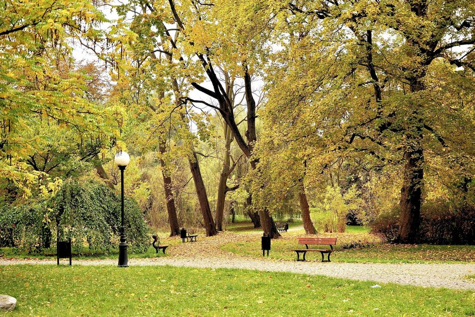 Łódź. Jesień w parku Źródliska w Łodzi. Nie wybrać się tam na spacer to grzech!