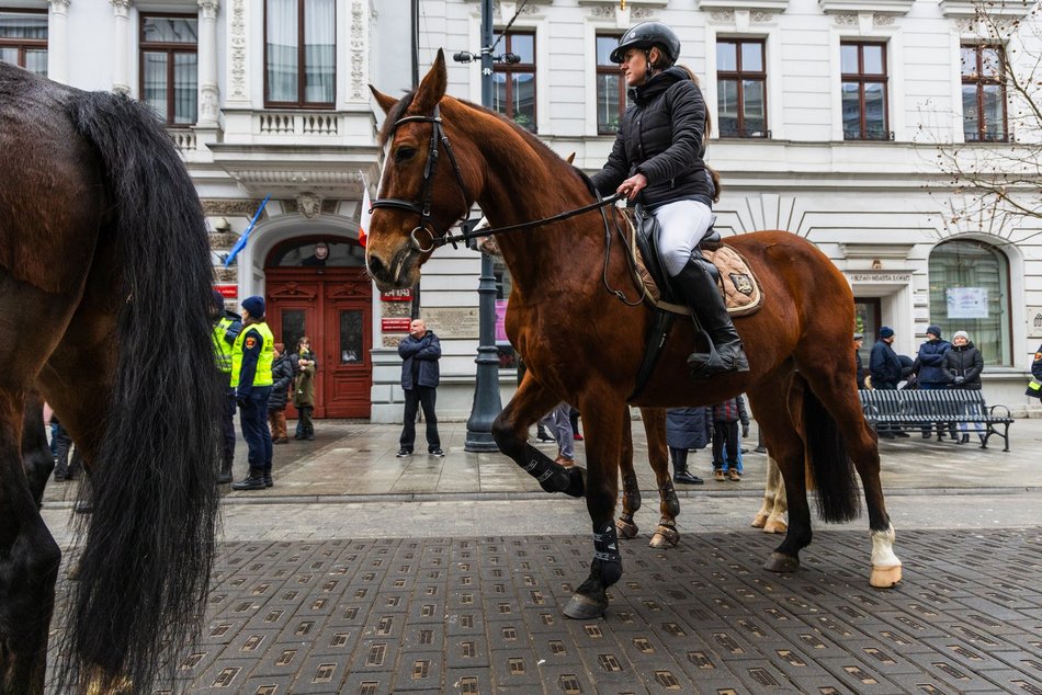 Łódź. WOŚP 2025 w Łodzi. Wielka Szarża przeszła Piotrkowską. Co za widok!