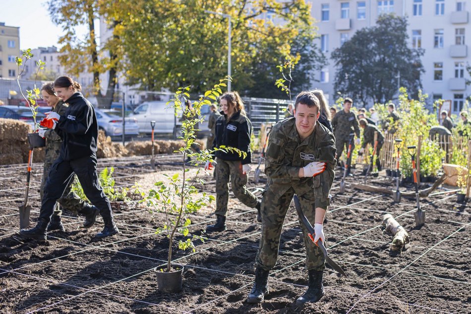 Na Polesiu powstał... mikrolas!