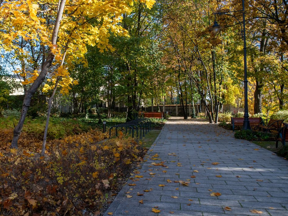 Rewitalizacja kamienica przy Sienkiewicza. Brama przenosi łodzian do zielonej oazy