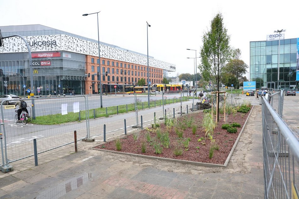 Łódź. Rośliny zamiast betonu przy hali sportowej MOSIR