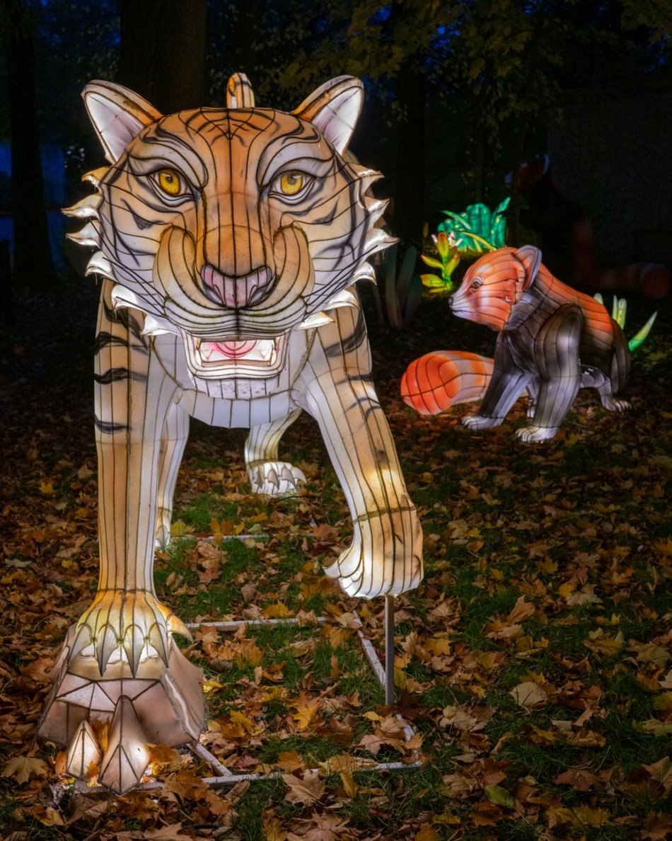 Park Miliona Świateł w Łodzi otwarty! Magiczne zwierzęta opanowały Orientarium Zoo Łódź