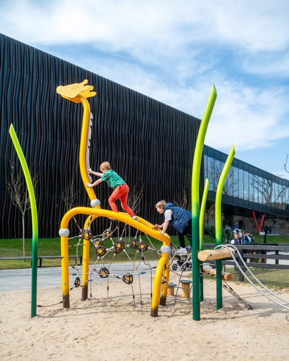 Łódź. Nowa żyrafa w Orientarium Zoo Łódź. Musisz ją poznać!