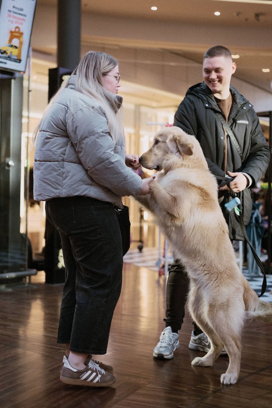 Łódź. Psi Targ w Manufakturze