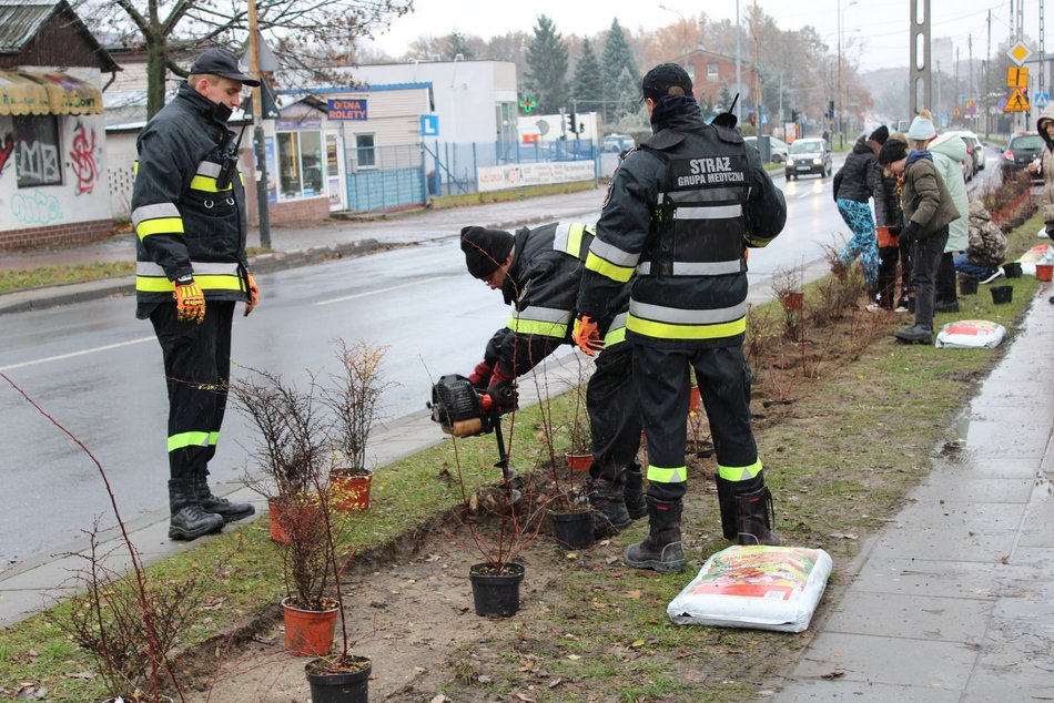 Sadzenie krzewów wzdłuż ulicy Retkińskiej