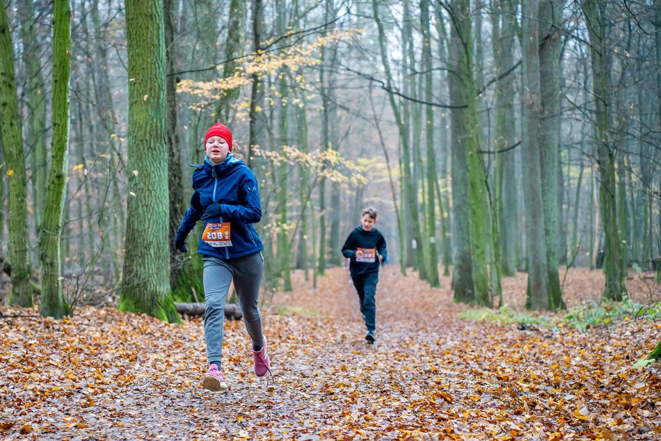 Cookie Run w Lesie Łagiewnickim w Łodzi