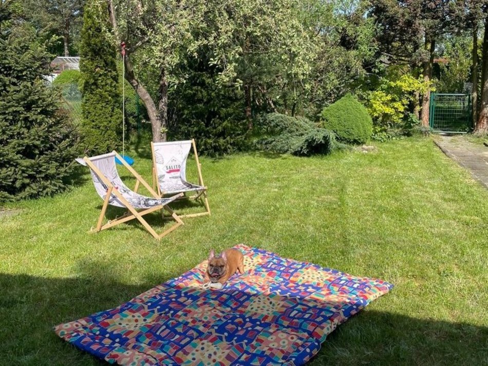 Łódź. Ogórdki działkowe w Łodzi