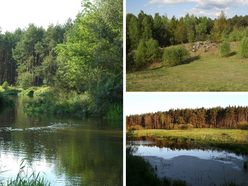 Łódź. Parki Krajobrazowe w Łódzkiem. Czy wiedziałeś, że jest ich aż 7?