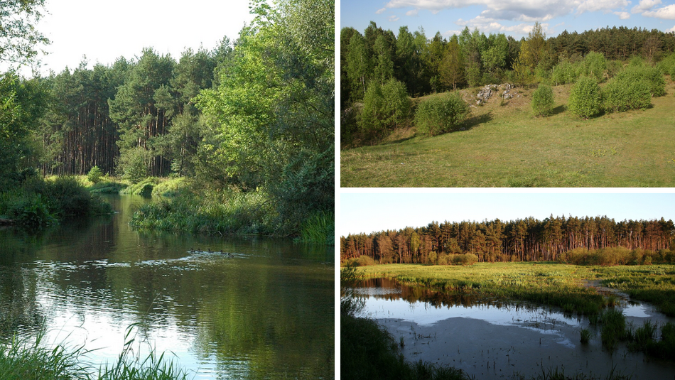 Łódź. Parki Krajobrazowe w Łódzkiem. Czy wiedziałeś, że jest ich aż 7?