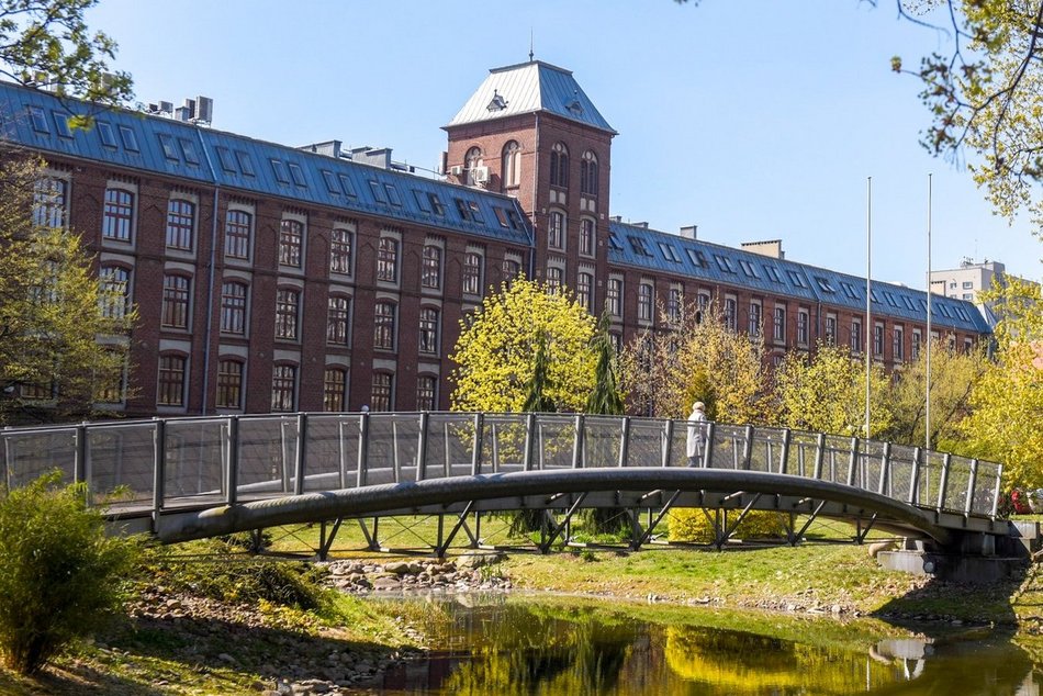 Łódź. Najpopularniejsze kierunki na Politechnice Łódzkiej w 2025 roku