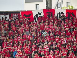 Kibice na meczu Widzewa Łódź z Lechem Poznań