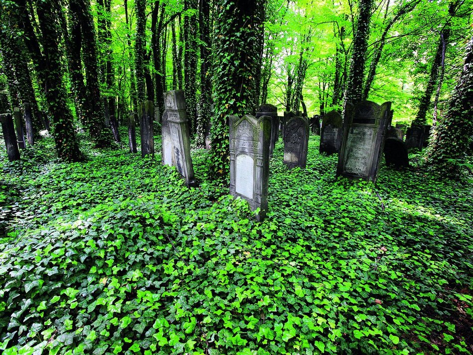 Łódź. Cmentarz Żydowski