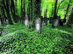 Łódź. Cmentarz Żydowski