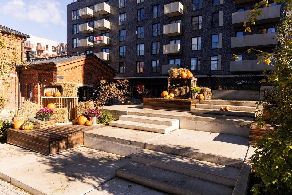 Łódź. Farma Dyń w Fuzji Łódź. Pozycja obowiązkowa na jesienną sesję fotograficzną! [ZDJĘCIA]