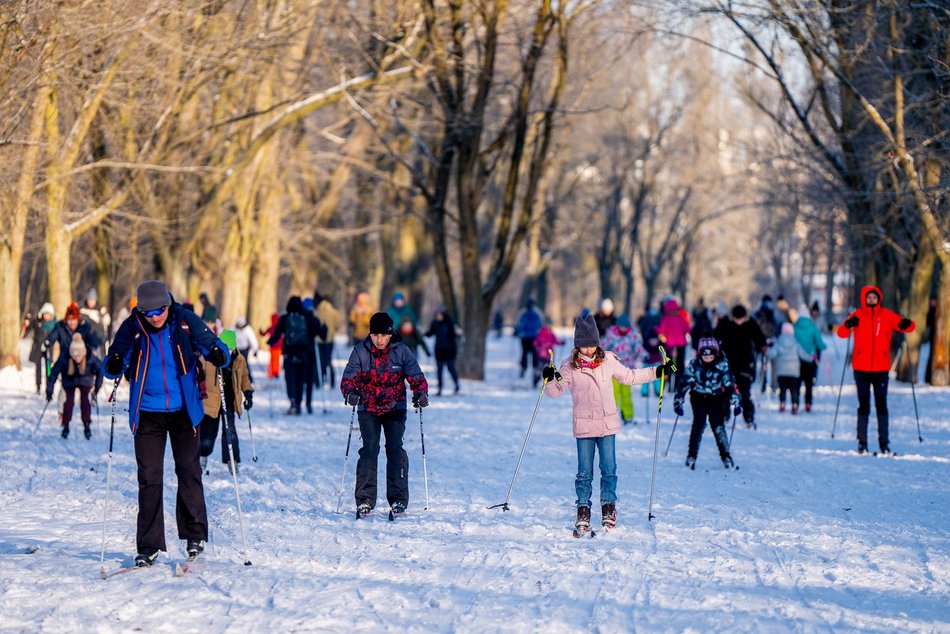 Łódź. Zajęcia z narciarstwa biegowego
