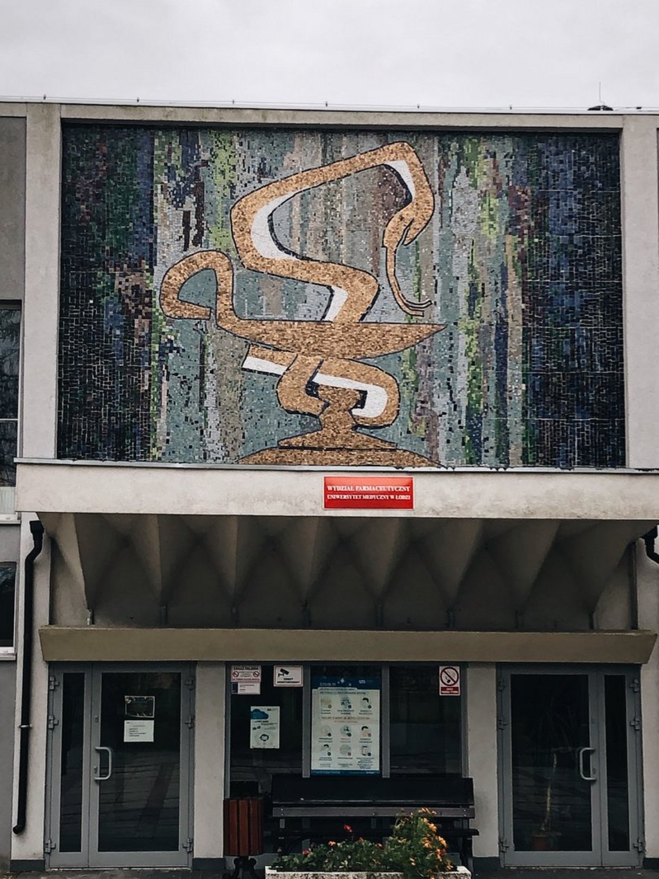 fot. Dorota Szczepańska