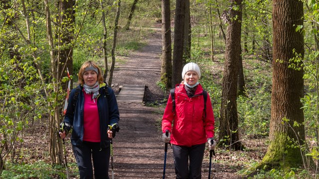 Nordic walking. Seniorzy z Łodzi pokochali ten sport! Dołączysz do nich? [ZDJĘCIA]