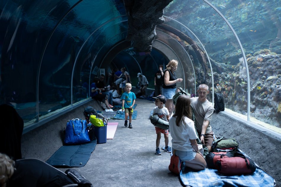 Urodzinowe nocowanie w Orientarium Zoo Łódź. Przeżyli przygodę, której zapamiętają na długo!