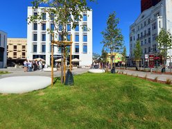 Plac przy kawiarni Starbucks w centrum Łodzi odżywa! Tyle tam zieleni!