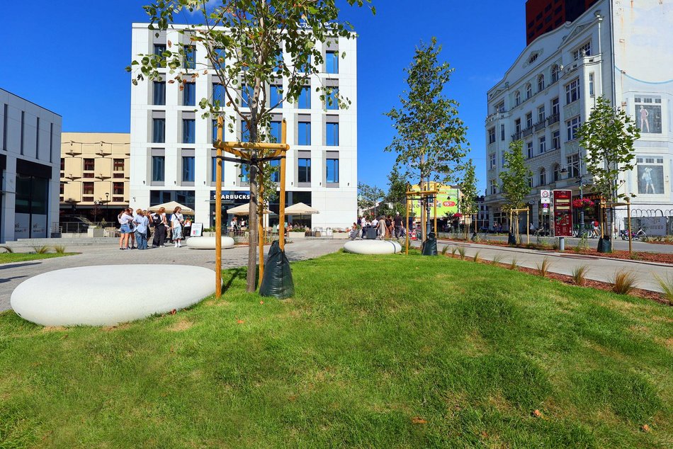 Plac przy kawiarni Starbucks w centrum Łodzi odżywa! Tyle tam zieleni!