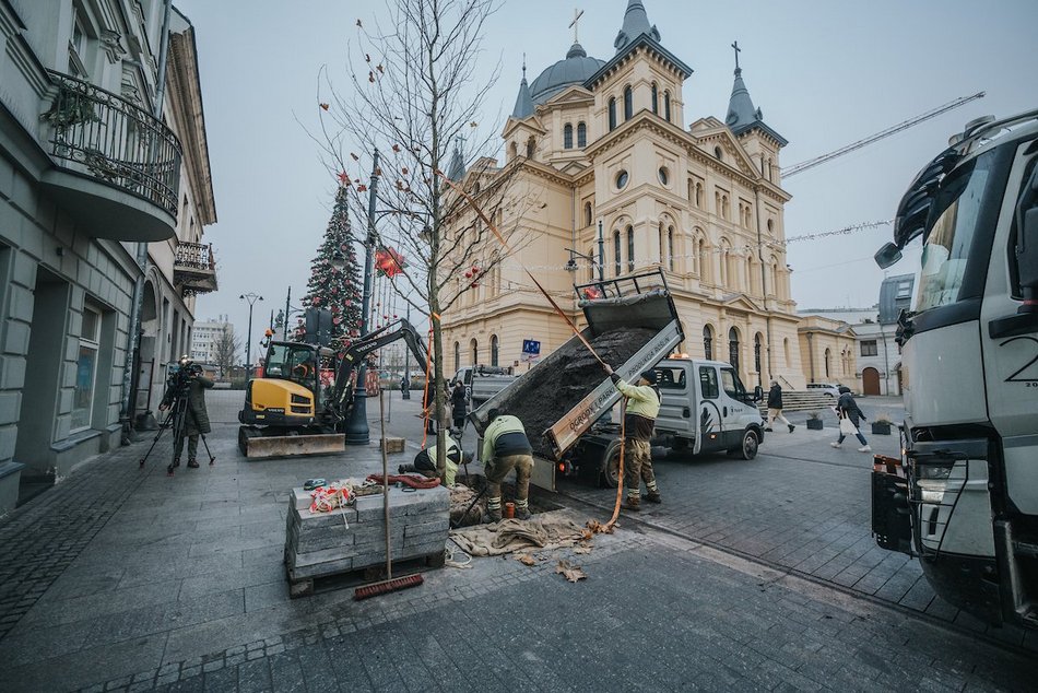 Łódź. Zielona metamorfoza Piotrkowskiej!