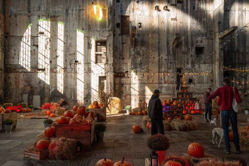 Farma Dyniowa w Fuzji. Poczuj klimat jesieni w centrum Łodzi!