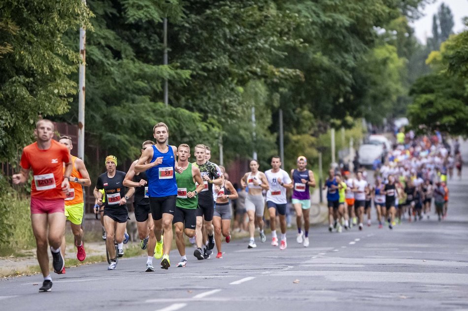 Bieg Fabrykanta 2024