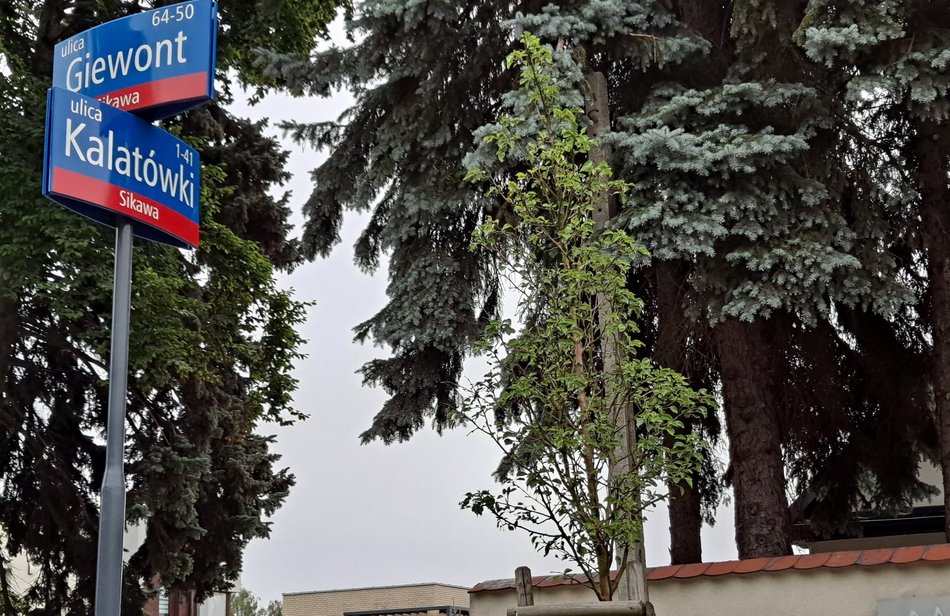 Nietypowe nazwy ulic w Łodzi!