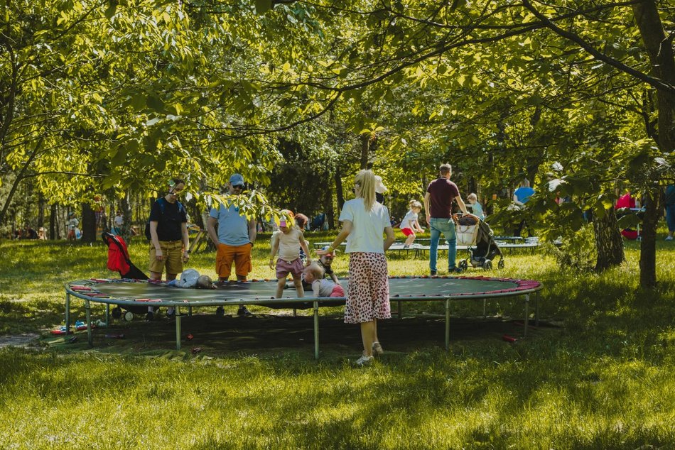 Łódź. TOP 10 miejsc w Łódzkiem na rodzinną wycieczkę. Dinozaury, safari i park linowy