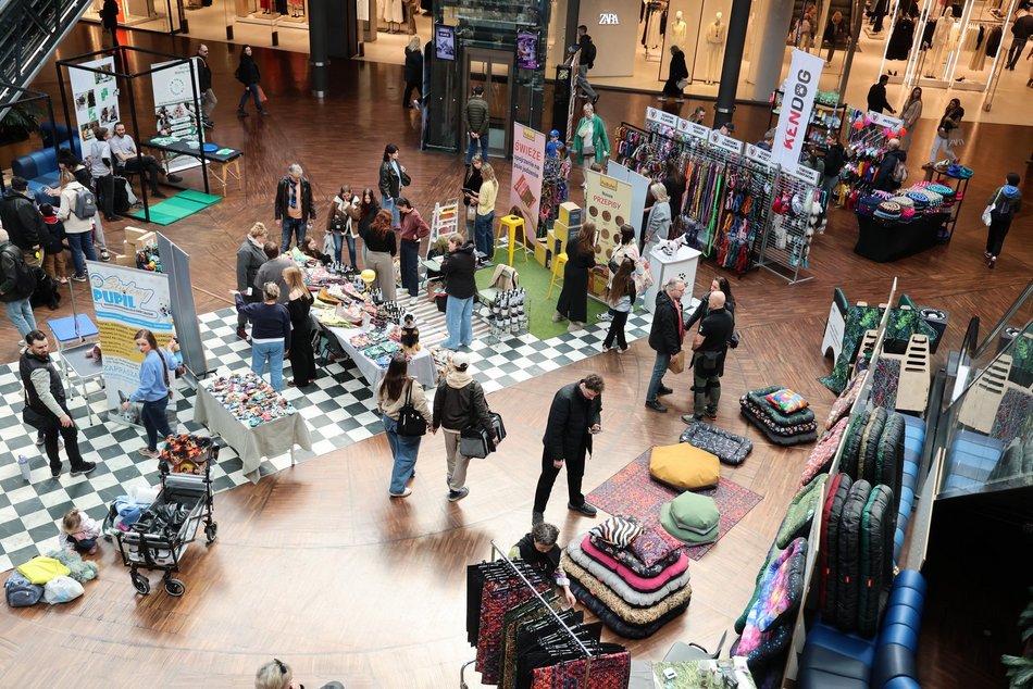 Łódź. Psi Targ w Manufakturze w Łodzi. Każdy miłośnik czworonogów znajdzie tu coś dla siebie