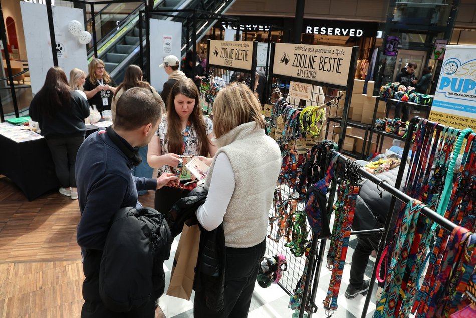 Łódź. Psi Targ w Manufakturze w Łodzi. Każdy miłośnik czworonogów znajdzie tu coś dla siebie
