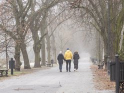 Łódź. Spacerowicze w parku Poniatowskiego