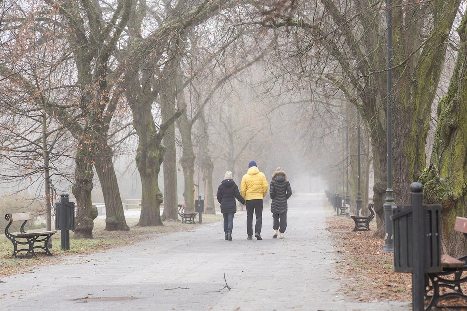 Łódź. Spacerowicze w parku Poniatowskiego