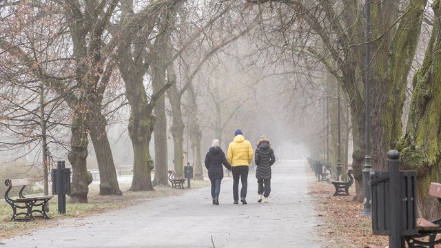 Grudniowa pogoda im nie straszna! Spacerowicze w parku Poniatowskiego w Łodzi [ZDJĘCIA]
