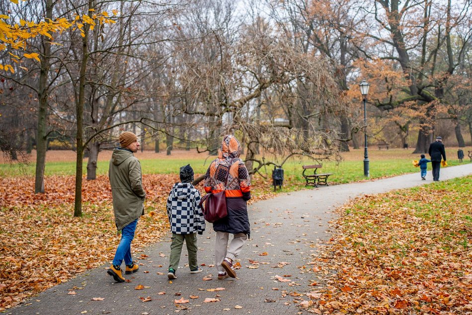 Łódź. Jesień w parku Źródliska