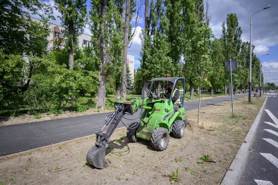 Nowe drzewa przy Maratońskiej w Łodzi. Będzie ich aż 70!