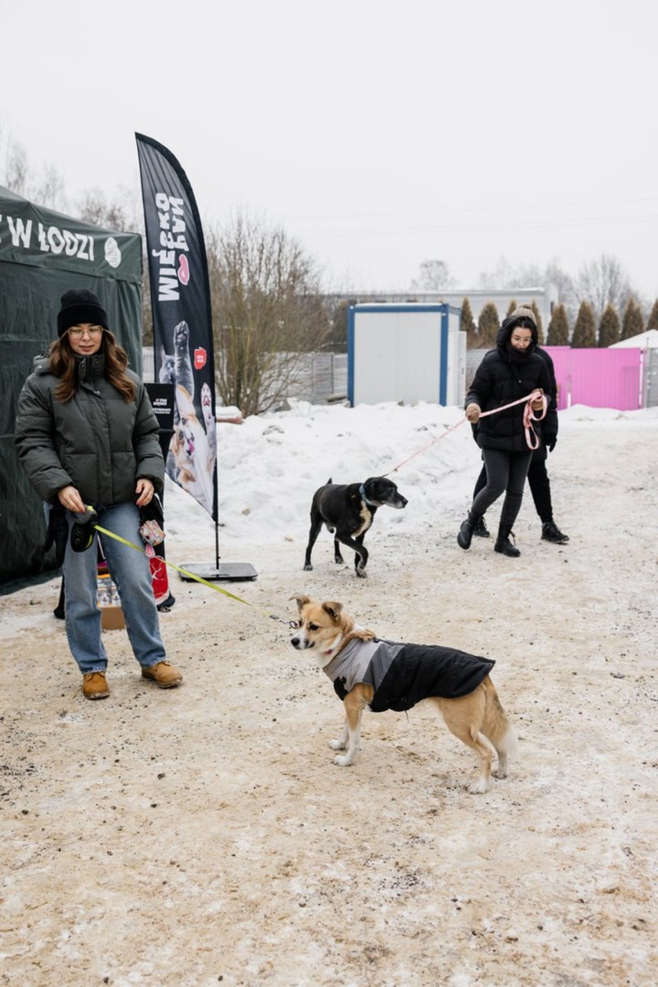 Łódź. Psy ze schroniska w Łodzi znów na spacerze! Dla tych wesołych pyszczków aż chce się chodzić!