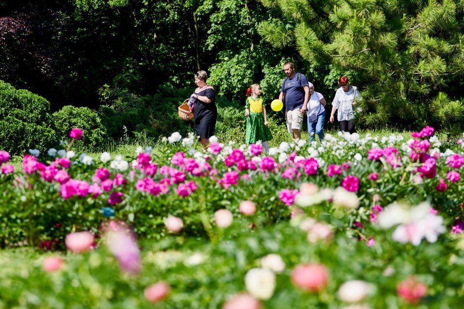 Łódź. Z dala od pośpiechu, blisko natury. Rodzinne spotkanie w Ogrodzie Botanicznym w Łodzi 
