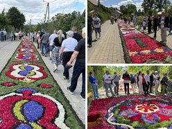 Łódź. Boże Ciało w Łódzkiem. Kwiatowe dywany w Spycimierzu