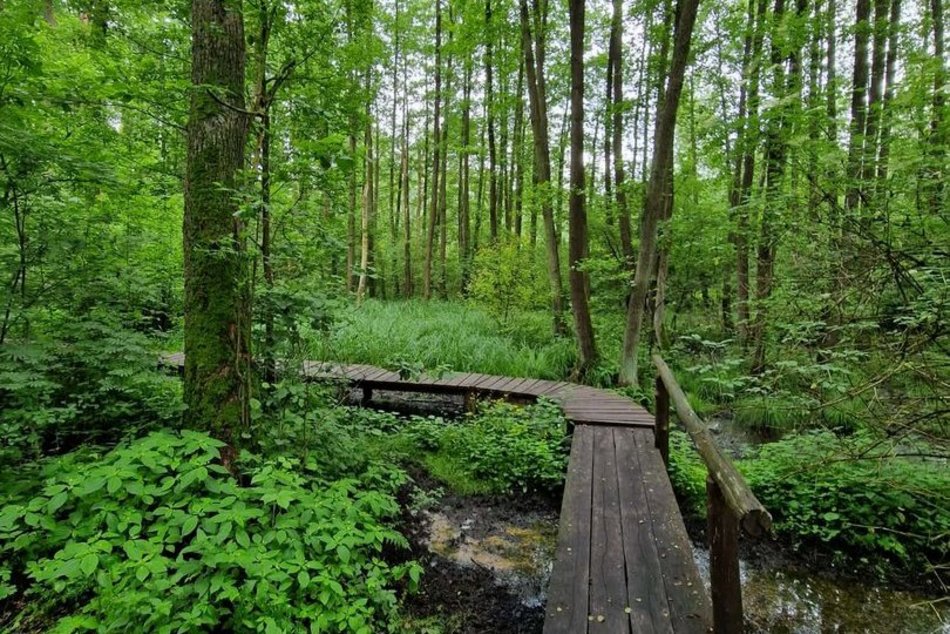Łódź. To nie Mazury to Łódź. Gdzie znaleźć te wyjątkowe kładki?